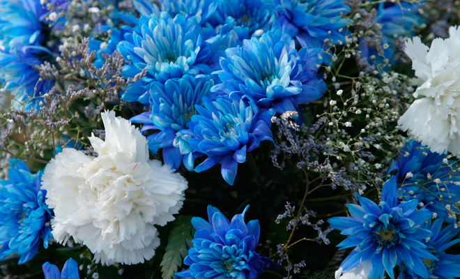 Diccionario de sueños: soñar con flores azules