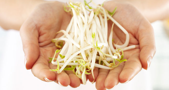 Isoflavonas para la menopausia