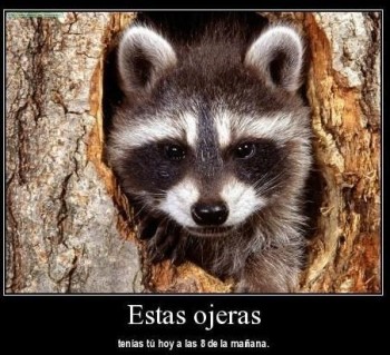 Cosas que saben las personas que viven cansadas