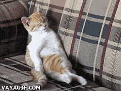 Cosas que saben las personas que viven cansadas