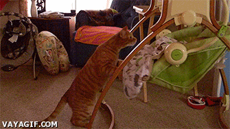 Carrito Dormir a un bebé