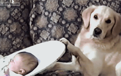 Llorar Dormir a un bebé