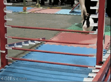 deporte Los vegetarianos