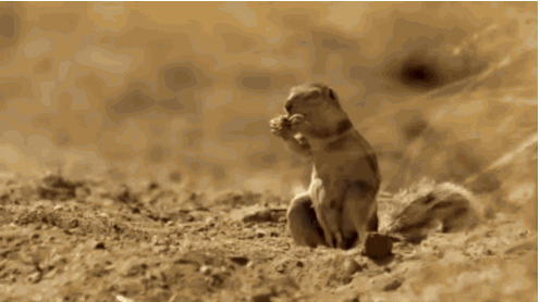 puerta Personas olvidadizas