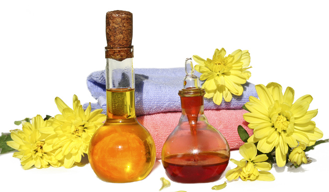 remedios caseros para todo: diccionario de problemas y soluciones