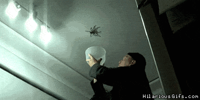 araña Estar solo en casa produce insomnio