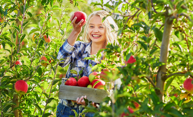Recetas sanas para quemar grasa Recetas sanas para quemar grasa