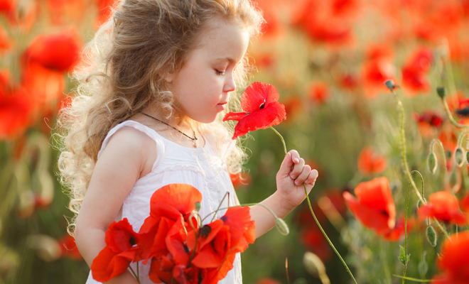 El efecto mariposa en sueños