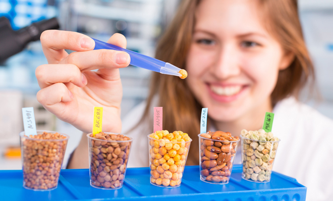 Qué son los alimentos trasgénicos