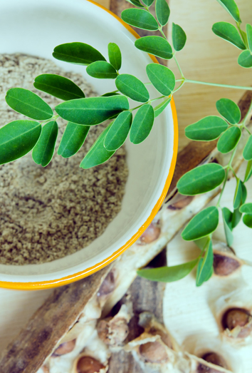La moringa en la dieta La moringa en la dieta