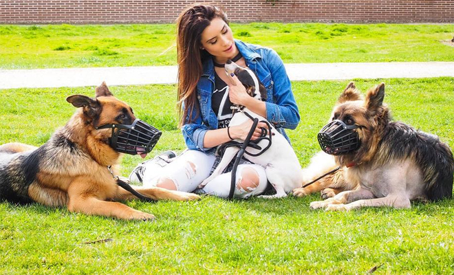 tener un perro tener un perro