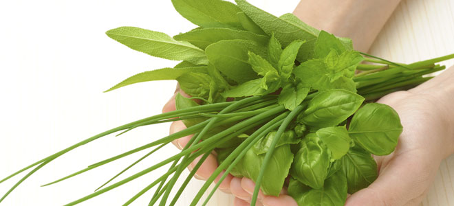 Remedios naturales para el dolor de espalda