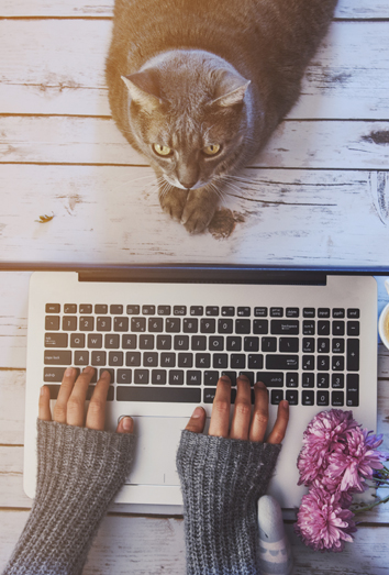 La productividad en el trabajo y en la vida