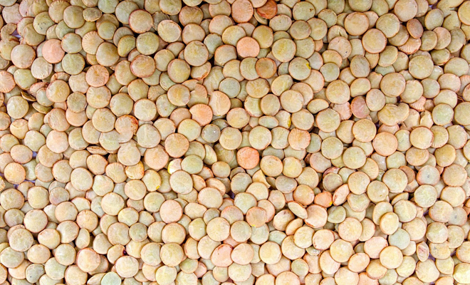 Las lentejas para ser más fértil Las lentejas para ser más fértil