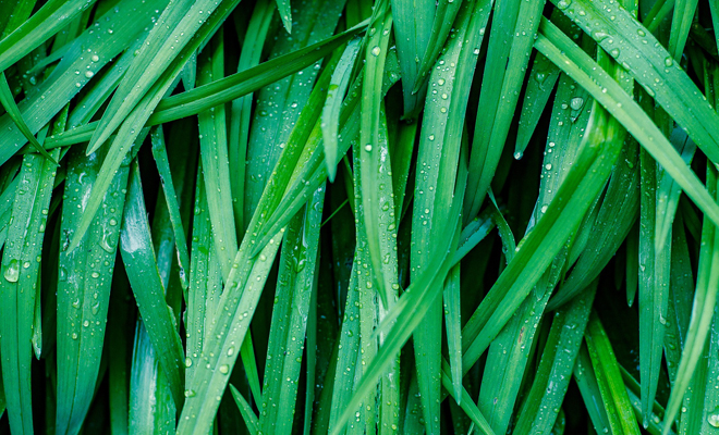 Cuando tus mocos son de color verde