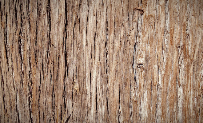 Cuando tus mocos son de color marrón o negro