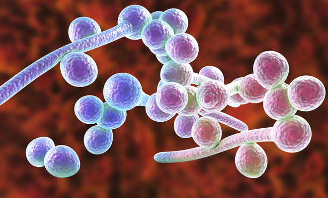 Consideraciones sobre los óvulos vaginales Consideraciones sobre los óvulos vaginales