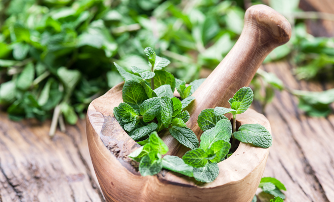 Conoce todas las propiedades de la hierbabuena Conoce todas las propiedades de la hierbabuena