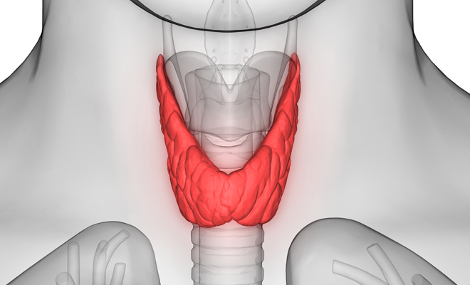 Dieta para adelgazar con tiroides