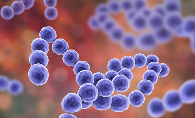 Verrugas genitales: el Virus del Papiloma Humano Verrugas genitales: el Virus del Papiloma Humano