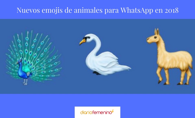 Nuevos emojis en WhatsApp: Más de 100 emoticonos para 2018
