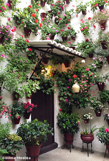 Patios de Córdoba jardineria